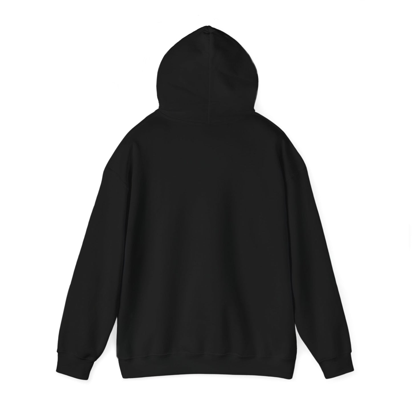 US Jai Alai Hooded Sweatshirt