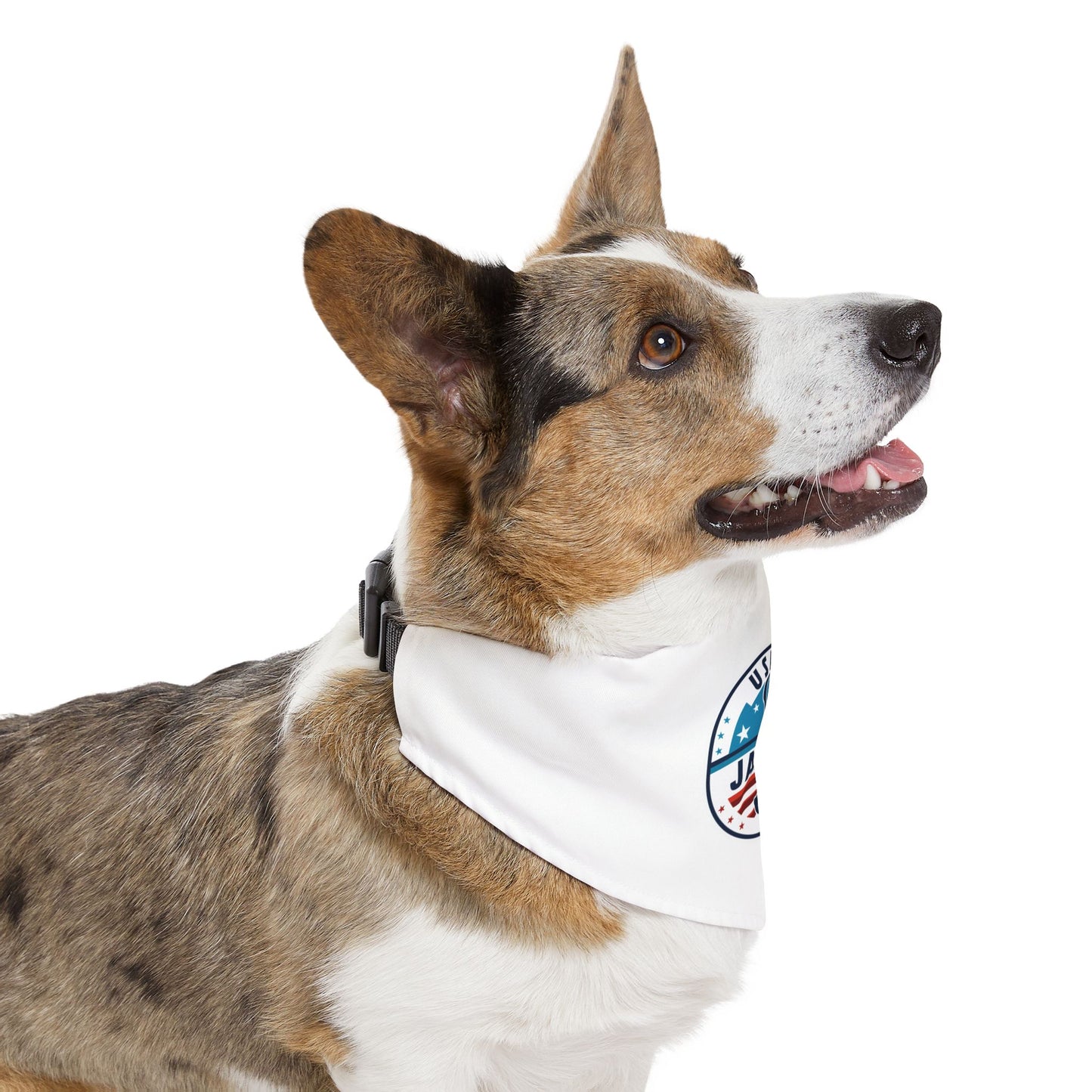 USA Jai Alai Team Pet Bandana Collar