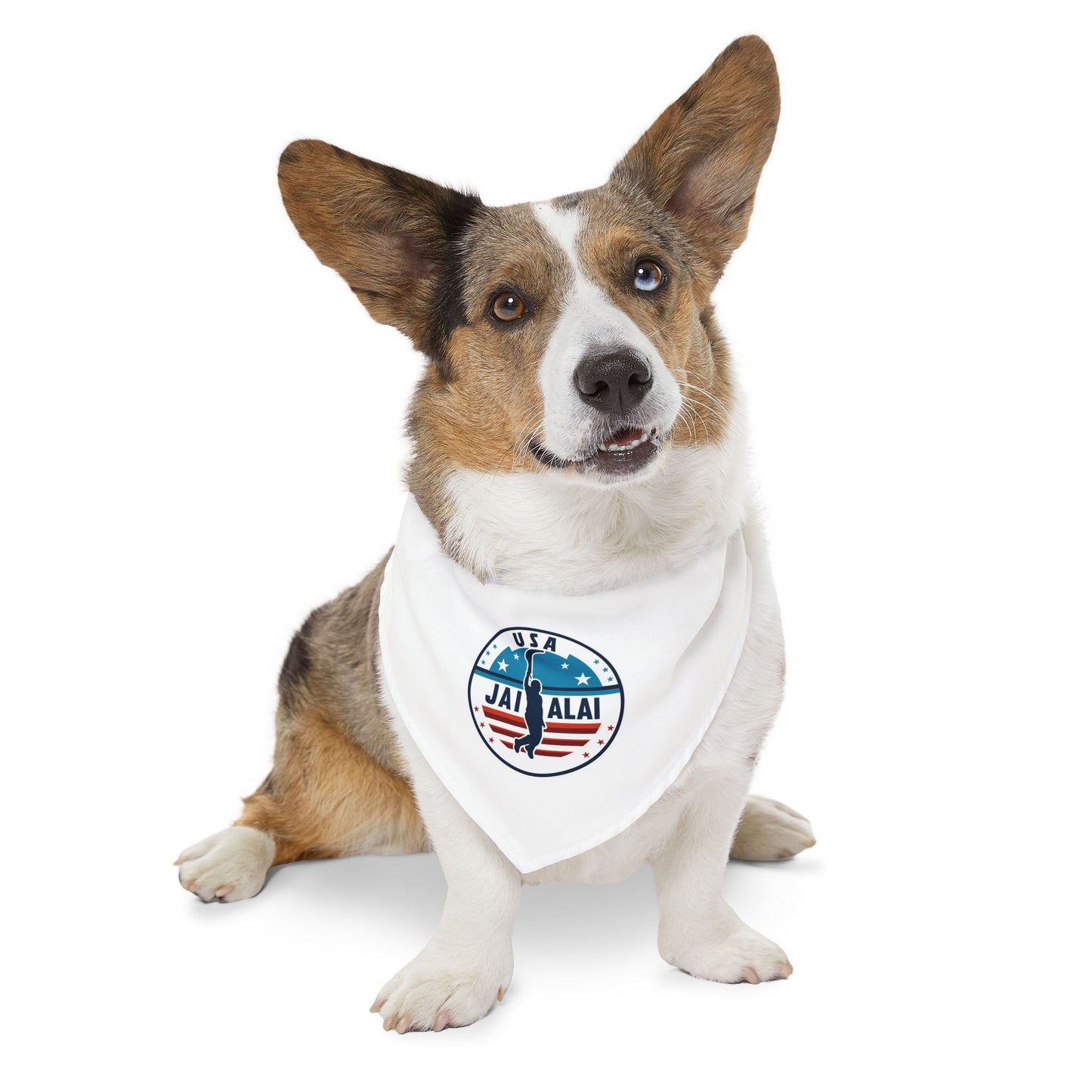 USA Jai Alai Team Pet Bandana Collar